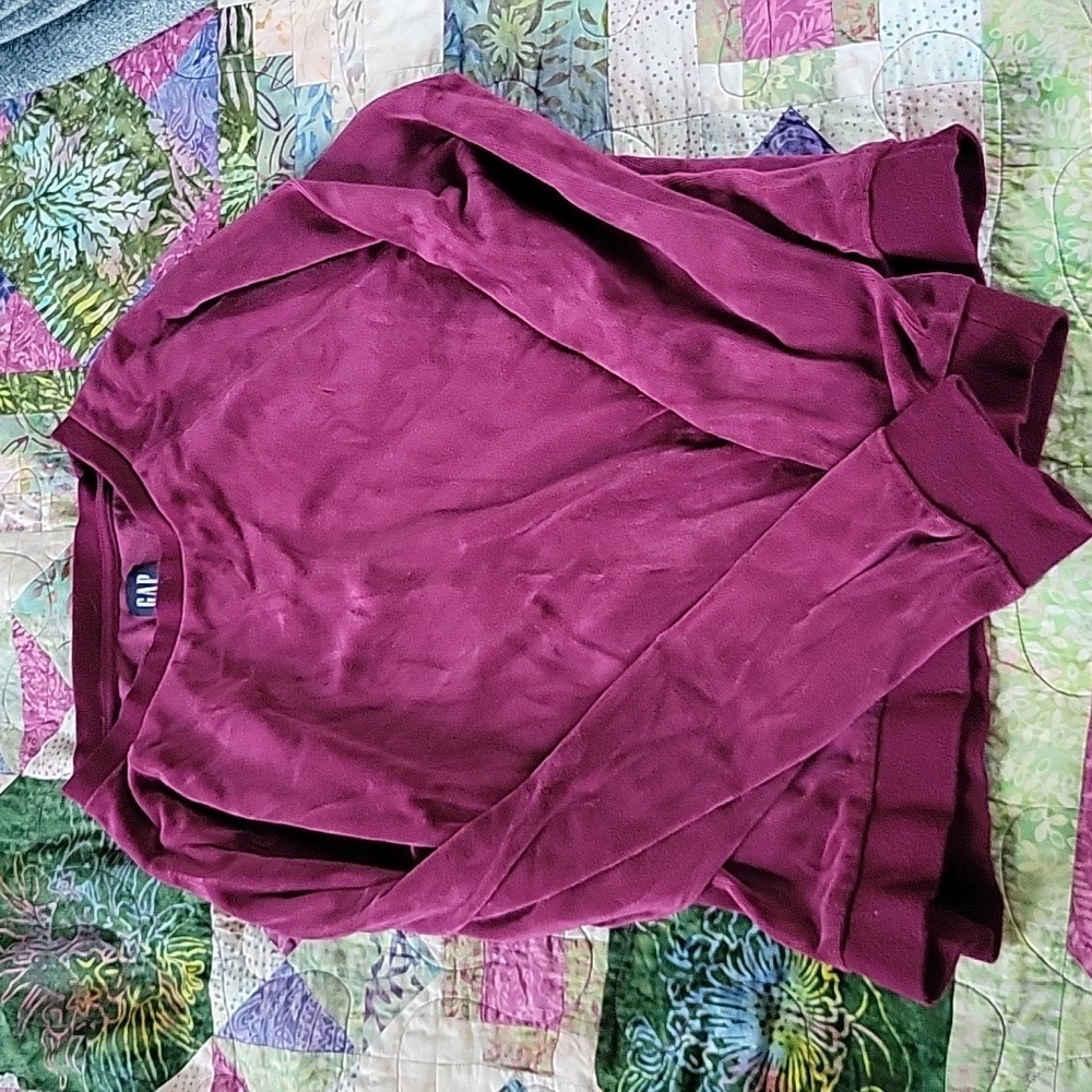Gap velvet sweatshirt.